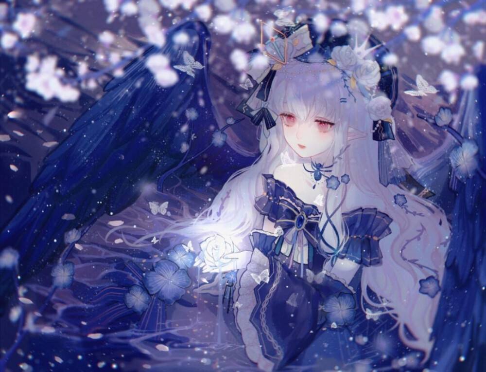 晴空观测站封面